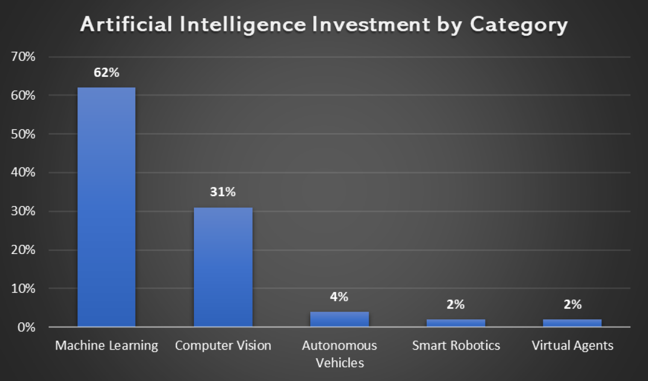 AI Investments by Category.