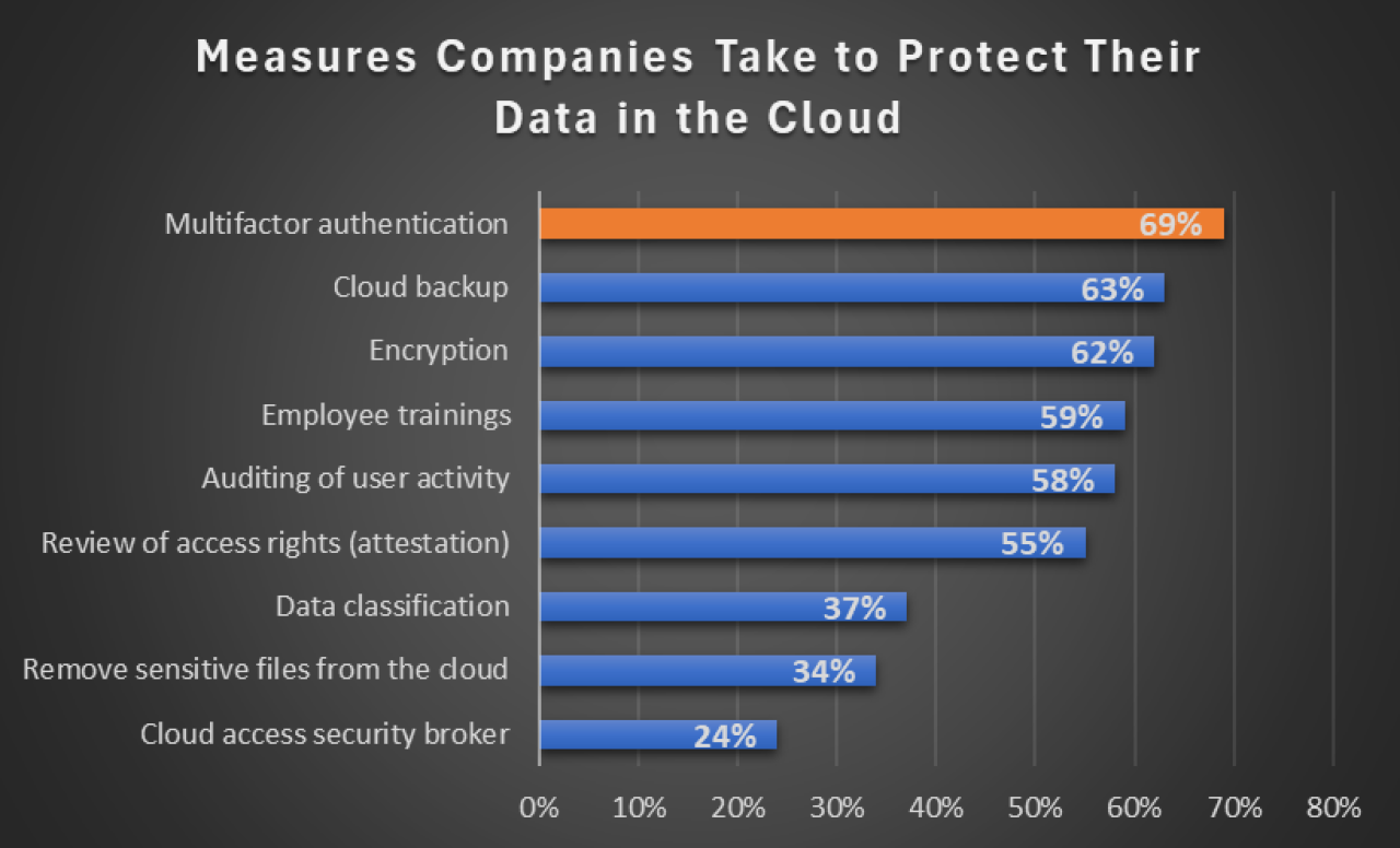 Security measures adopted by companies to protect their data.