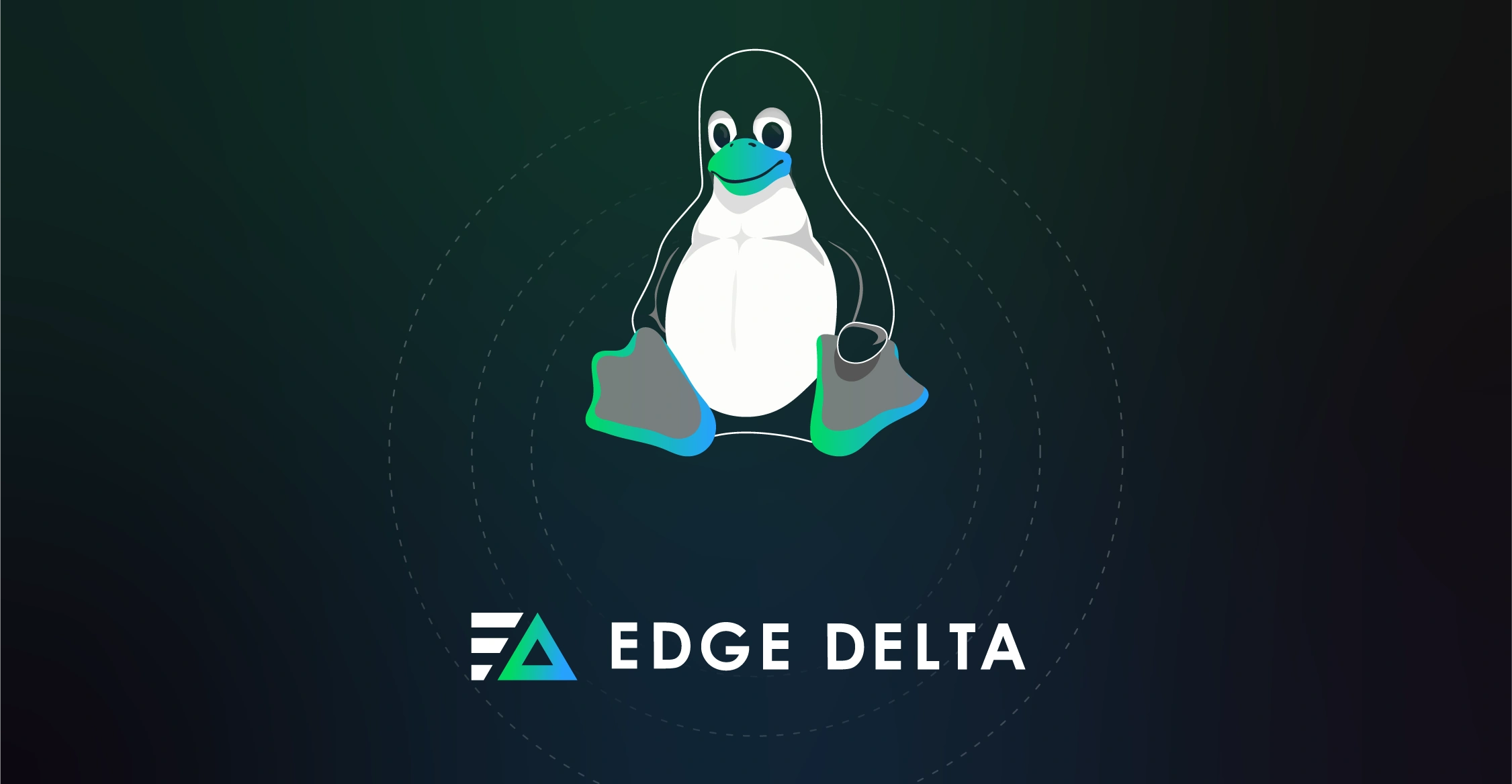 671aaf9f3a3779452cf4b901_blog-banner_info-from-binary-linux_native-5